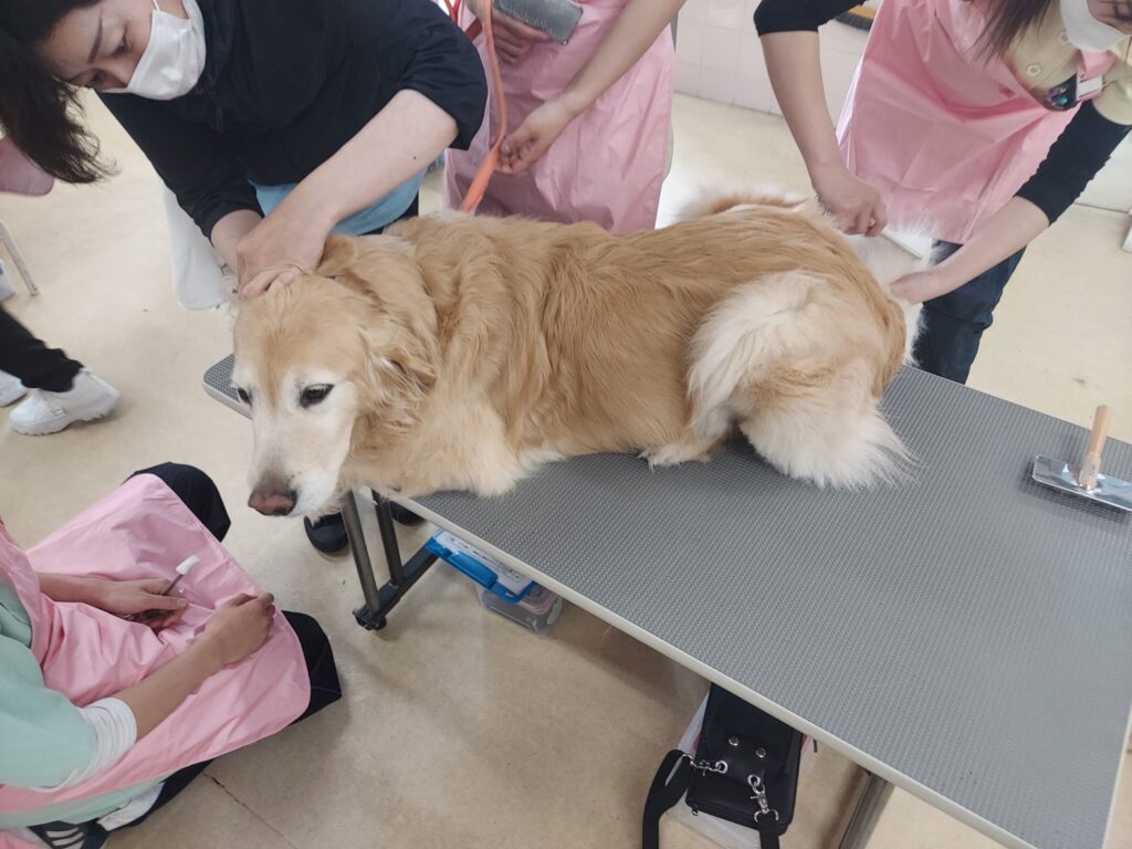 20230428_130817 神戸動植物環境専門学校