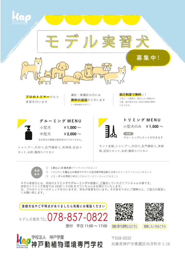 モデル犬チラシ